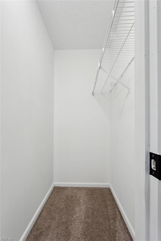 spacious closet featuring carpet flooring