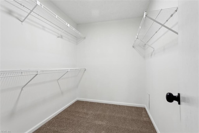 spacious closet with carpet floors