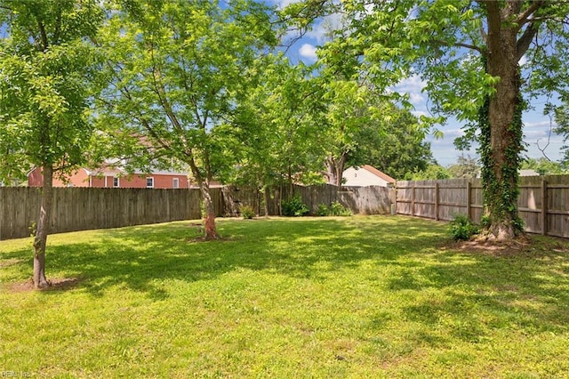 view of yard