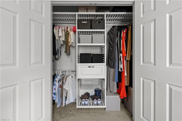 6738 Burbage Landing Cir, Suffolk, VA 23435 - view of closet