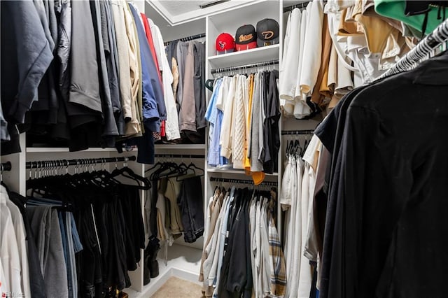 6738 Burbage Landing Cir, Suffolk, VA 23435 - view of walk in closet