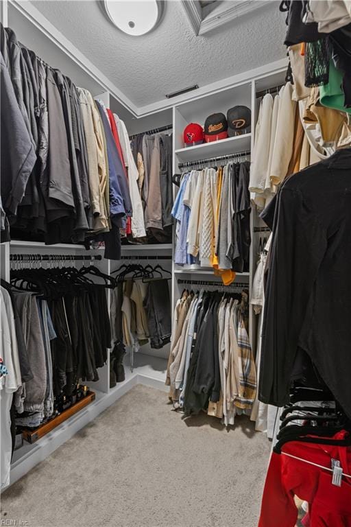 6738 Burbage Landing Cir, Suffolk, VA 23435 - spacious closet with carpet flooring