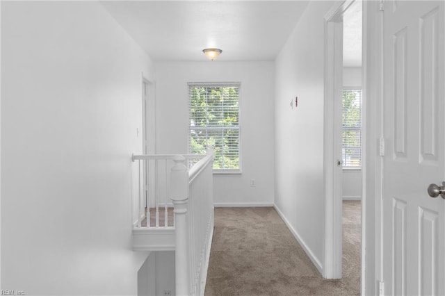 3669 Purebred Dr, Virginia Beach, VA 23453 - hall featuring an upstairs landing, carpet flooring, and baseboards