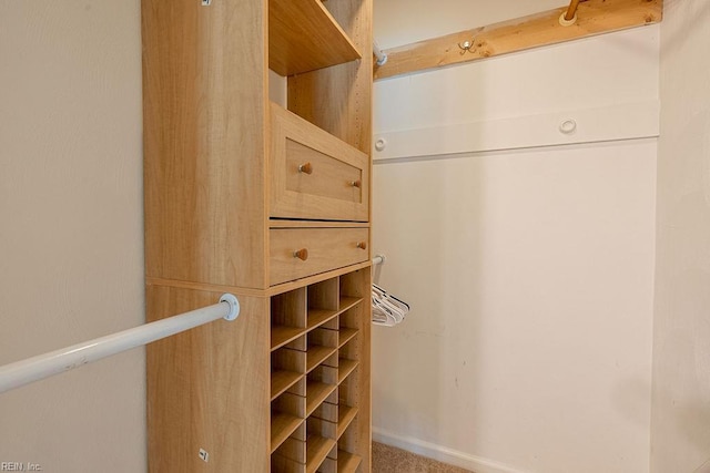 100 Woodland Cir, Franklin, VA 23851 - view of spacious closet