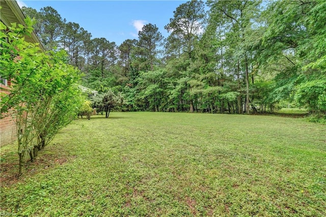 8 Pinckney Ln, Poquoson, VA 23662 - view of grassy yard