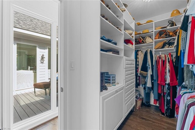 2900 Thomas Smith Ln, Williamsburg, VA 23185 - spacious closet with wood finished floors