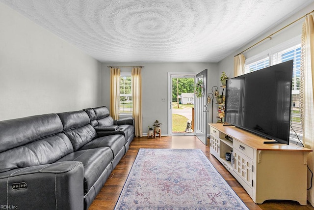 living room featuring wood finished floors and a textured ceiling