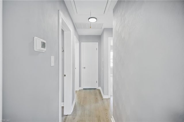 808 Williams Ave, Chesapeake, VA 23323 - hall with attic access, light wood-style floors, and baseboards