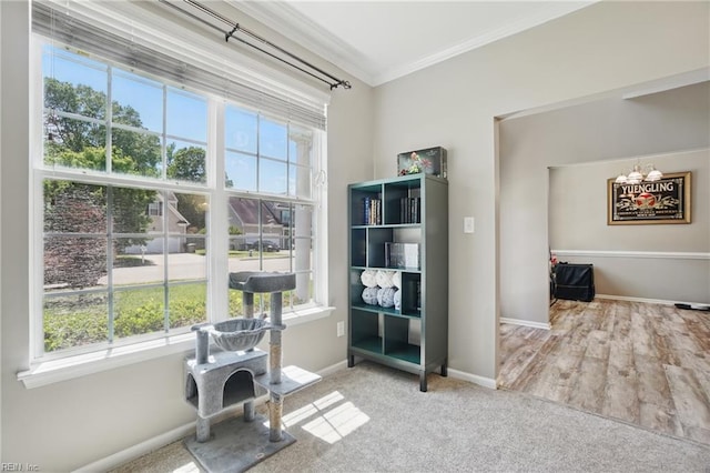 105 Christophers Ln, Hampton, VA 23666 - living area featuring ornamental molding, baseboards, a chandelier, and carpet