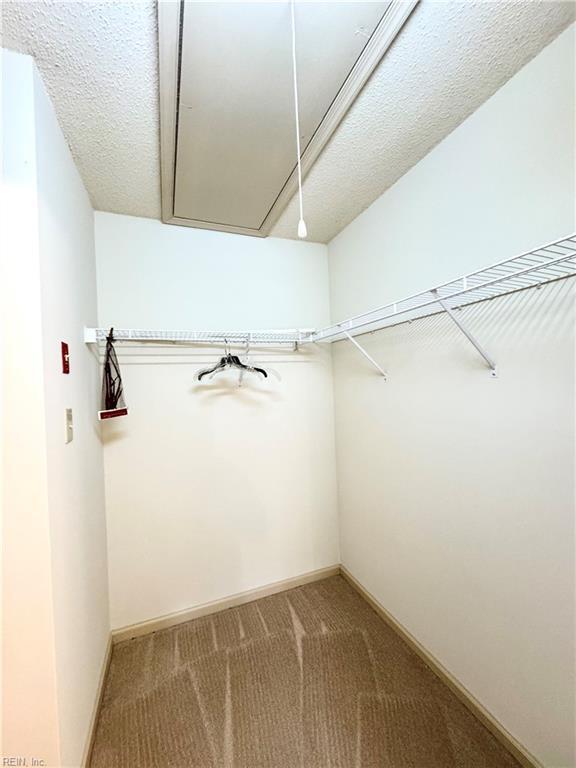 121 Monarch Glade, Yorktown, VA 23692 - walk in closet with attic access and carpet