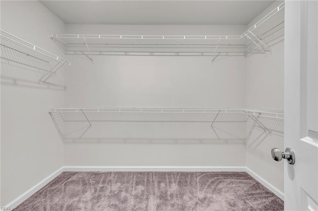 122 American Way, Suffolk, VA 23434 - spacious closet with carpet flooring