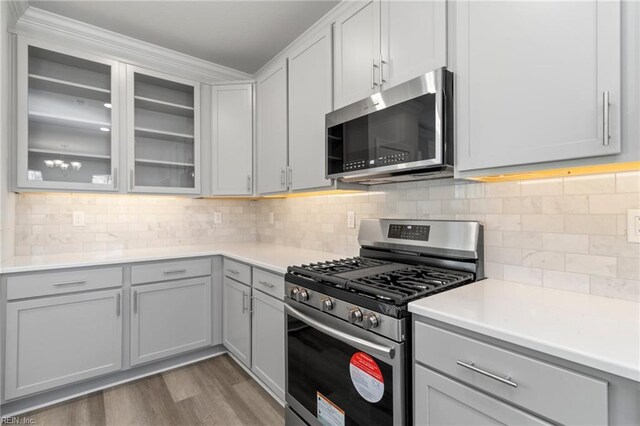 2237 Sanibel Ln, Chesapeake, VA 23321 - kitchen with stainless steel appliances, gray cabinets, light wood-style flooring, and light countertops