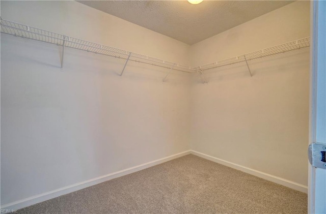 913 Fluvanna Rd, Newport News, VA 23601 - walk in closet with carpet floors