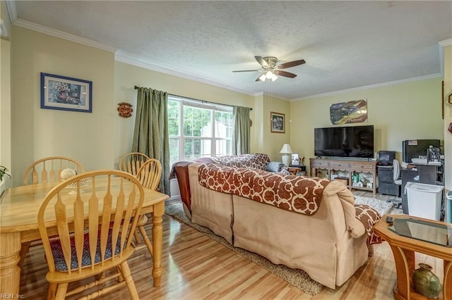 10402 Freewelcome Ln, Gloucester, VA 23061 - living room with light wood-style flooring, a ceiling fan, ornamental molding, and a textured ceiling