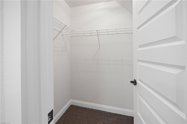 5376 Kenmere Ln, Smithfield, VA 23430 - walk in closet featuring carpet floors