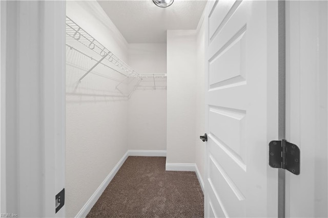 5376 Kenmere Ln, Smithfield, VA 23430 - spacious closet with dark colored carpet