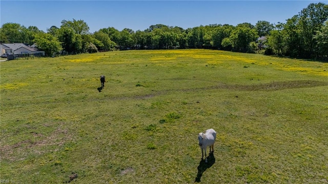 147 Ransone St, Hampton, VA 23669 - view of grassy yard with a view of countryside