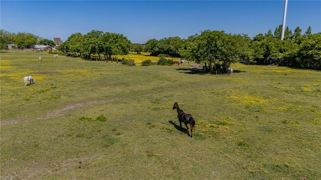 147 Ransone St, Hampton, VA 23669 - view of yard with a view of rural / pastoral area