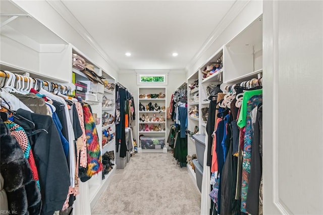 walk in closet with carpet flooring