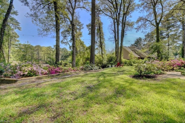 view of grassy yard