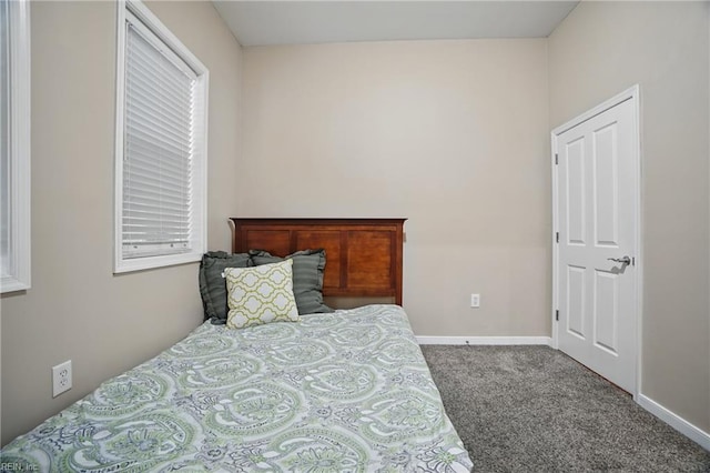 388 Boush St Unit 122, Norfolk, VA 23510 - bedroom with carpet flooring and baseboards
