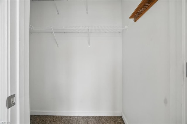 388 Boush St Unit 122, Norfolk, VA 23510 - view of spacious closet