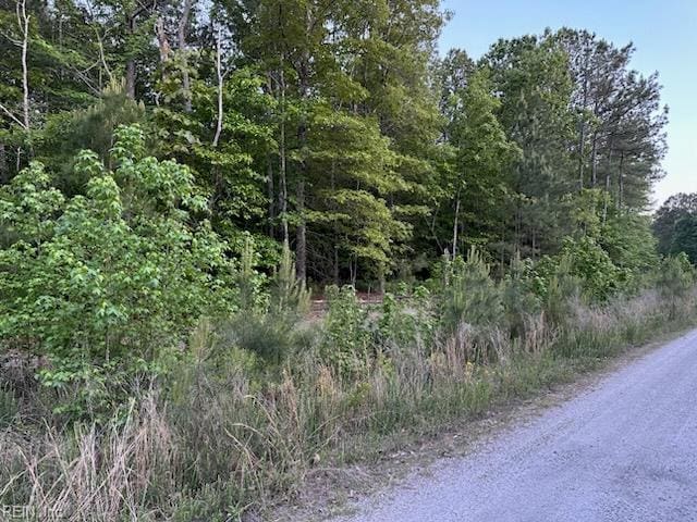 LOT12 Fox Chase Dr, Dendron, VA 23839