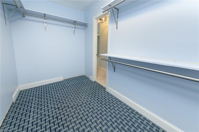 5191 Cypress Point Cir, Virginia Beach, VA 23455 - spacious closet with carpet