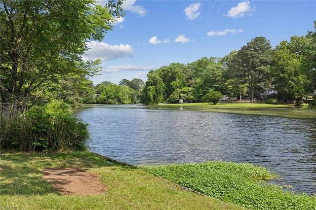 611 Windemere Rd, Newport News, VA 23602 - water view