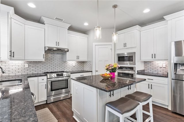 219 Dunway Ln, Chesapeake, VA 23323 - kitchen with stainless steel appliances, under cabinet range hood, a sink, decorative backsplash, and recessed lighting