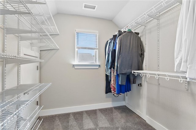 219 Dunway Ln, Chesapeake, VA 23323 - spacious closet featuring carpet and lofted ceiling
