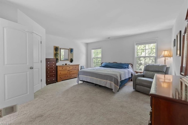 7935 Patriots Landing Pl, Quinton, VA 23141 - view of carpeted bedroom