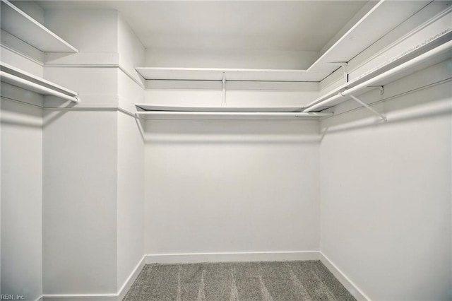 38 Yeardleys Grant, Williamsburg, VA 23185 - walk in closet featuring carpet flooring