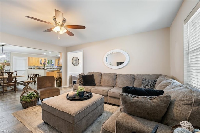1117 Confederate Cres, Virginia Beach, VA 23453 - living room featuring light wood finished floors and a ceiling fan