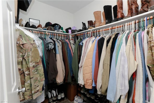 823 Jessie Cir, Newport News, VA 23608 - view of walk in closet