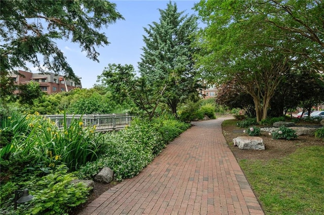 239 Duke St Unit 408, Norfolk, VA 23510 - view of surrounding community