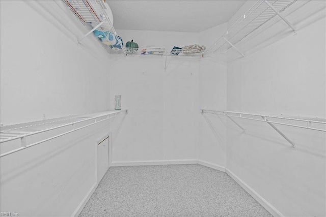 609 S Atlantic Ave, Virginia Beach, VA 23451 - walk in closet featuring light carpet