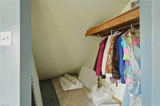 1237 Peachtree Dr, Suffolk, VA 23434 - view of closet