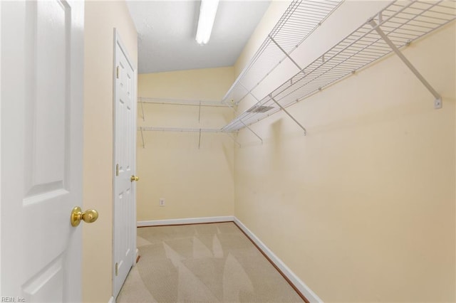12 Critzos Ct, Hampton, VA 23669 - walk in closet featuring carpet