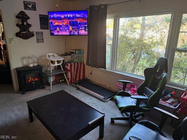 609 Aragona Blvd, Virginia Beach, VA 23462 - carpeted living room featuring a wood stove