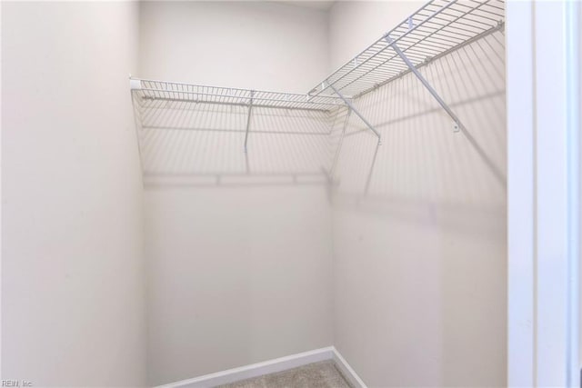 307 Lorraine Dr, Williamsburg, VA 23185 - walk in closet with carpet