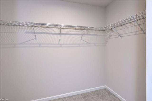 307 Lorraine Dr, Williamsburg, VA 23185 - walk in closet with carpet flooring