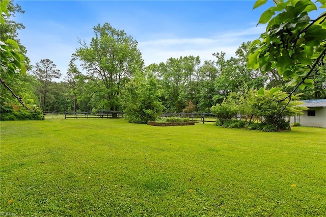 253 S George Washington Hwy, Chesapeake, VA 23323 - view of yard