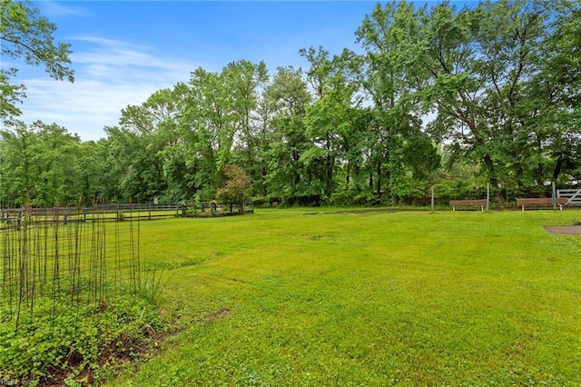 253 S George Washington Hwy, Chesapeake, VA 23323 - view of yard