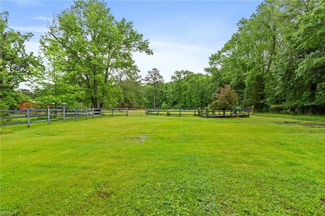 253 S George Washington Hwy, Chesapeake, VA 23323 - view of yard with a view of rural / pastoral area and a forest view