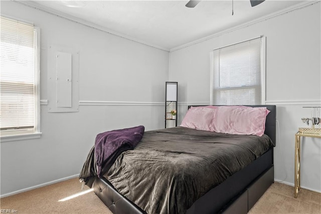 332 Shawen Dr, Hampton, VA 23669 - bedroom with carpet floors, crown molding, multiple windows, and baseboards
