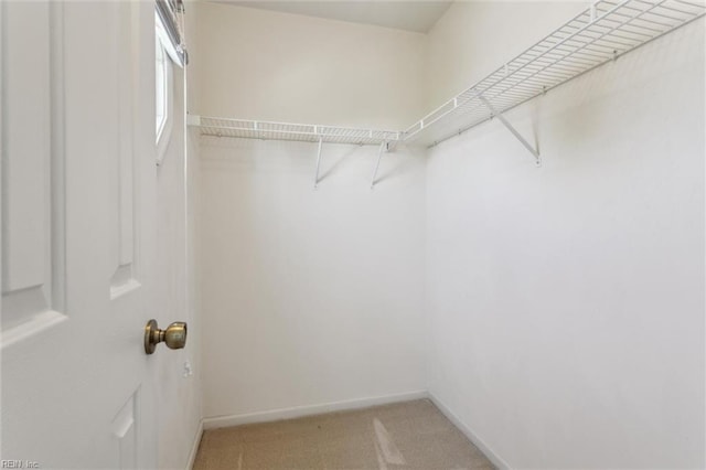 6017 Glen View Dr, Virginia Beach, VA 23464 - walk in closet featuring light colored carpet
