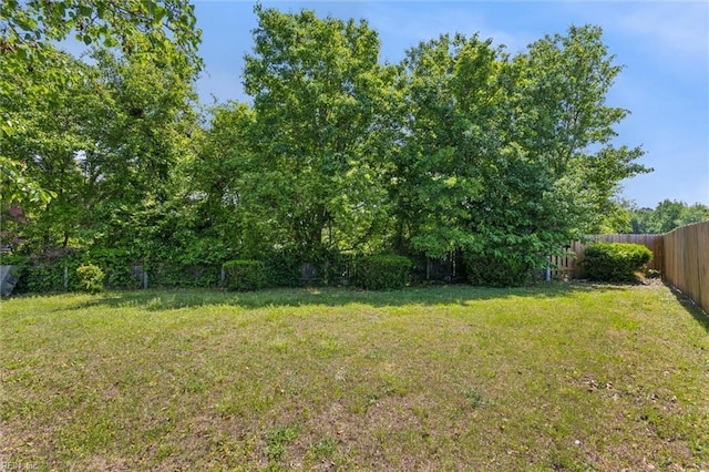 6017 Glen View Dr, Virginia Beach, VA 23464 - view of yard