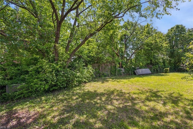 6017 Glen View Dr, Virginia Beach, VA 23464 - view of yard