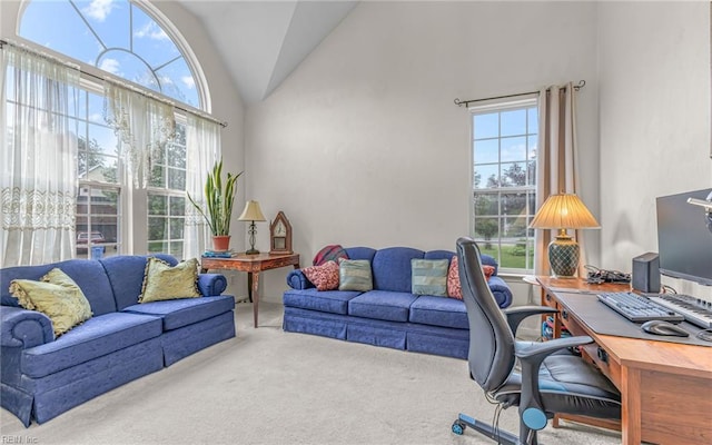 2230 Angler Ln, Chesapeake, VA 23323 - carpeted office space featuring lofted ceiling
